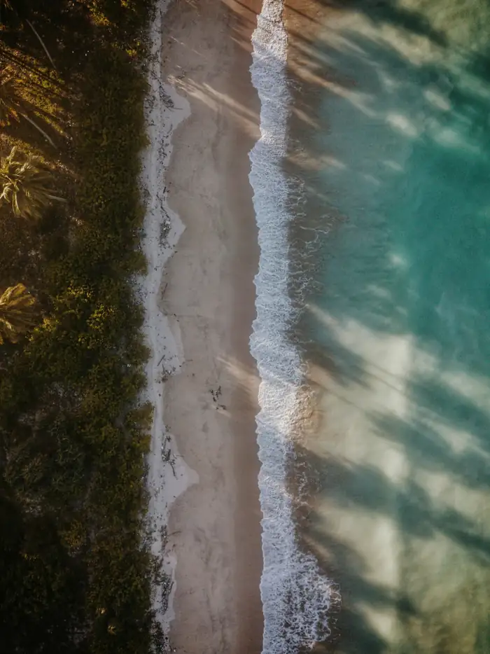 Aerial view of a white-sand beach lined with palm trees and turquoise water